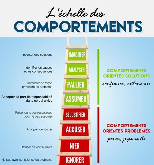 Echelle des comportements