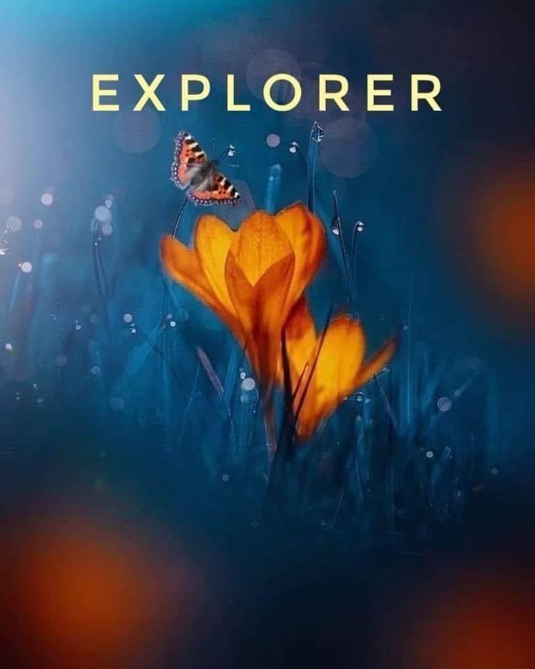 Explorer